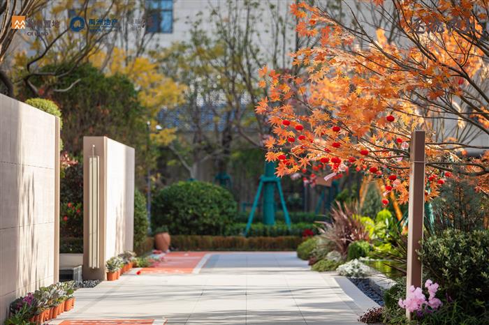 太惊艳！橡树澜湾一期交付在即，快来看看家的模样~