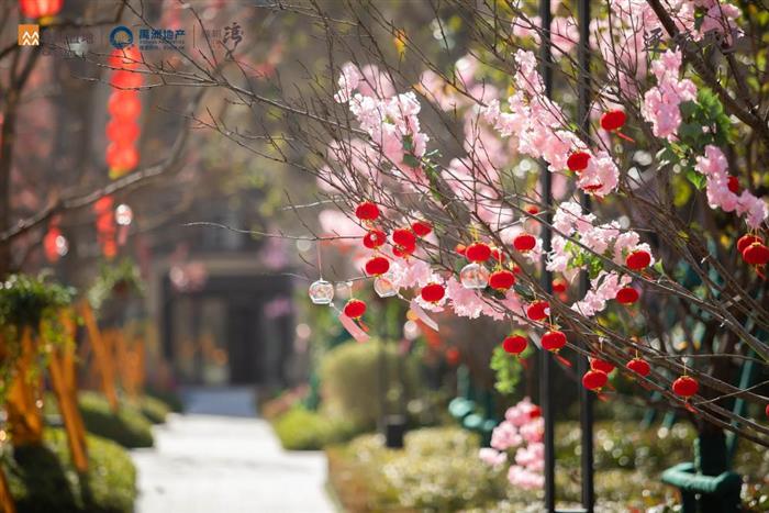 太惊艳！橡树澜湾一期交付在即，快来看看家的模样~