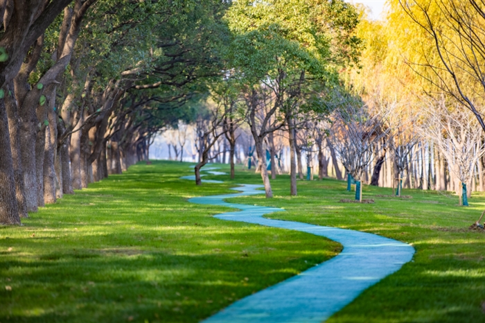 值得珍藏！兼具稀缺湖景与创新双重因子的低密别墅！羡慕了多少人