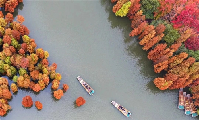 值得珍藏！兼具稀缺湖景与创新双重因子的低密别墅！羡慕了多少人