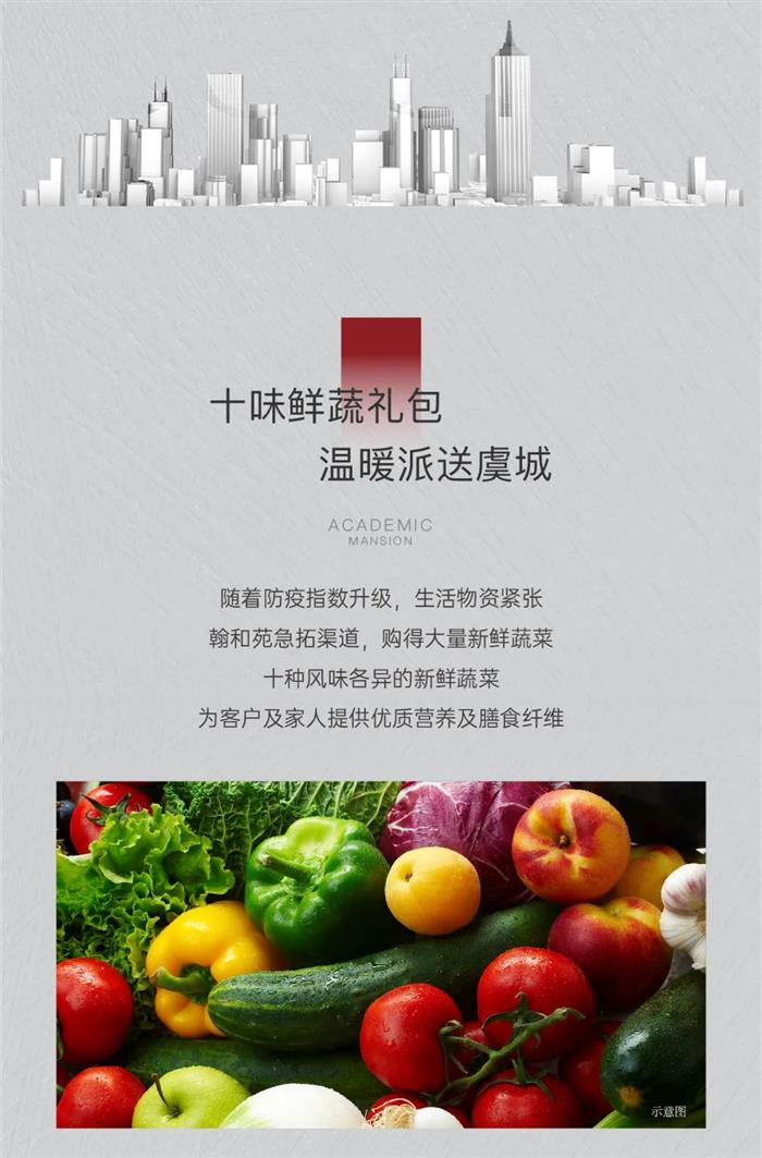 “蔬”情话意 和美守护｜十味鲜蔬礼包派送行动温暖开启